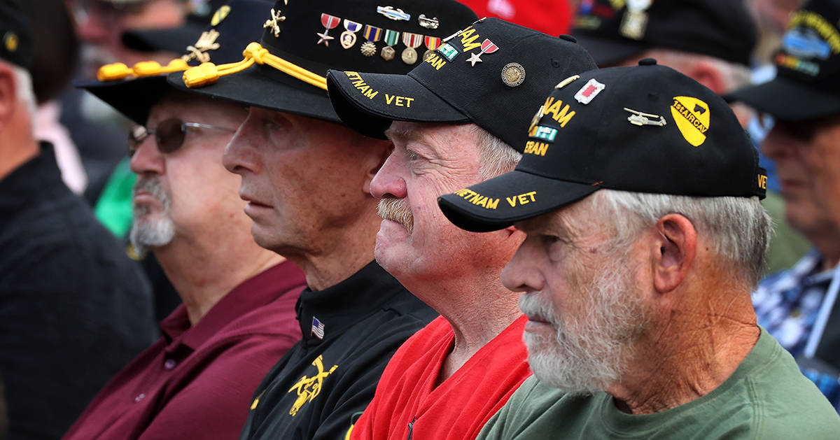 veterans day honored in nation's capital